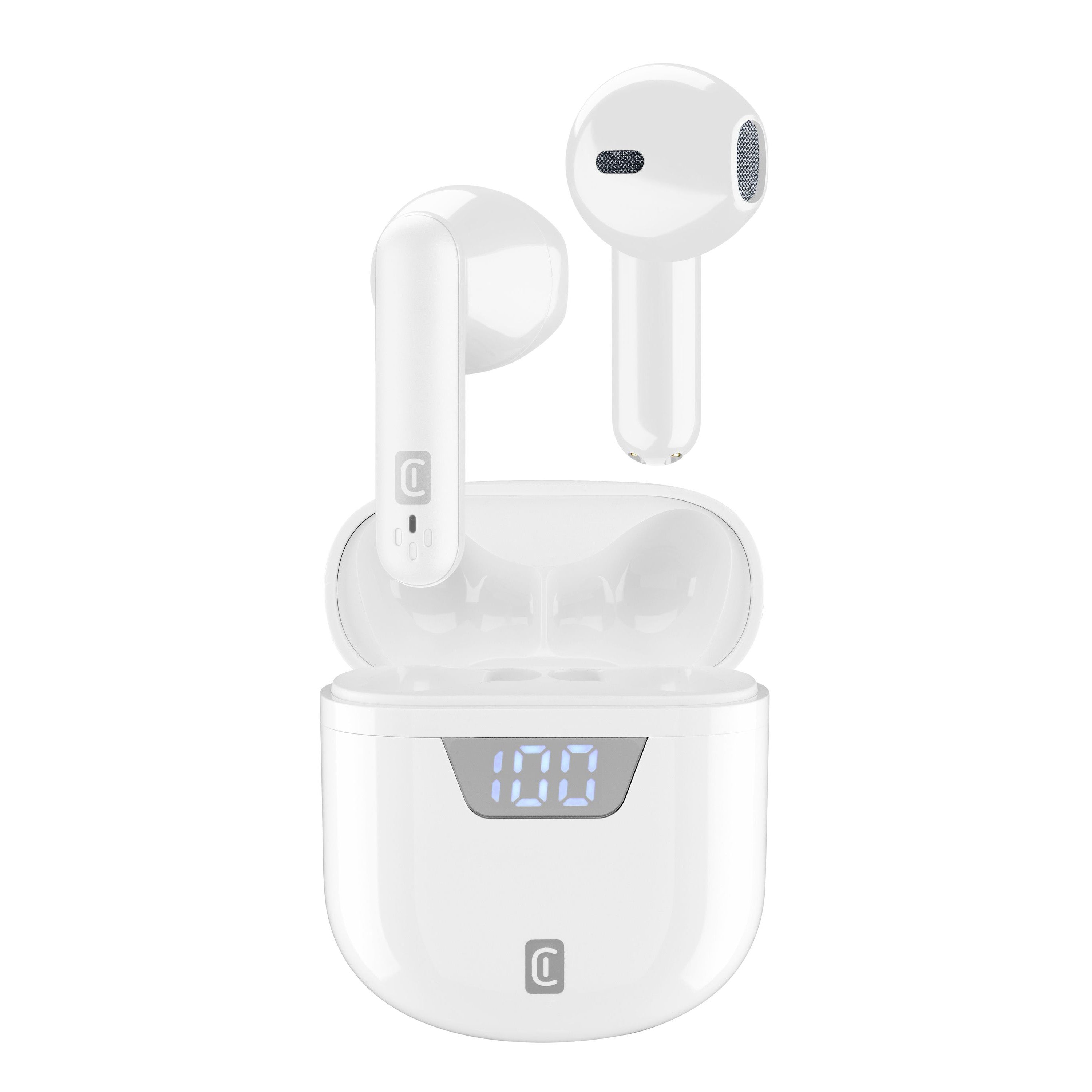 Bluetooth® earphones with charger case and charge level